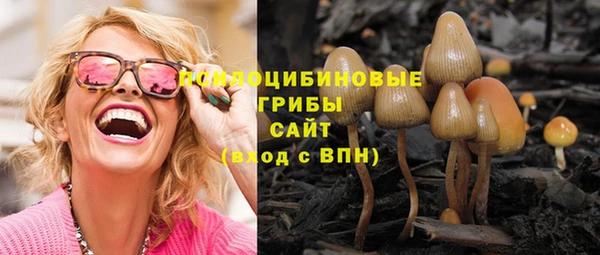 амф Балахна