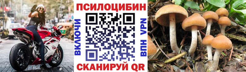 Псилоцибиновые грибы прущие грибы  мега как зайти  Козельск  сколько стоит 